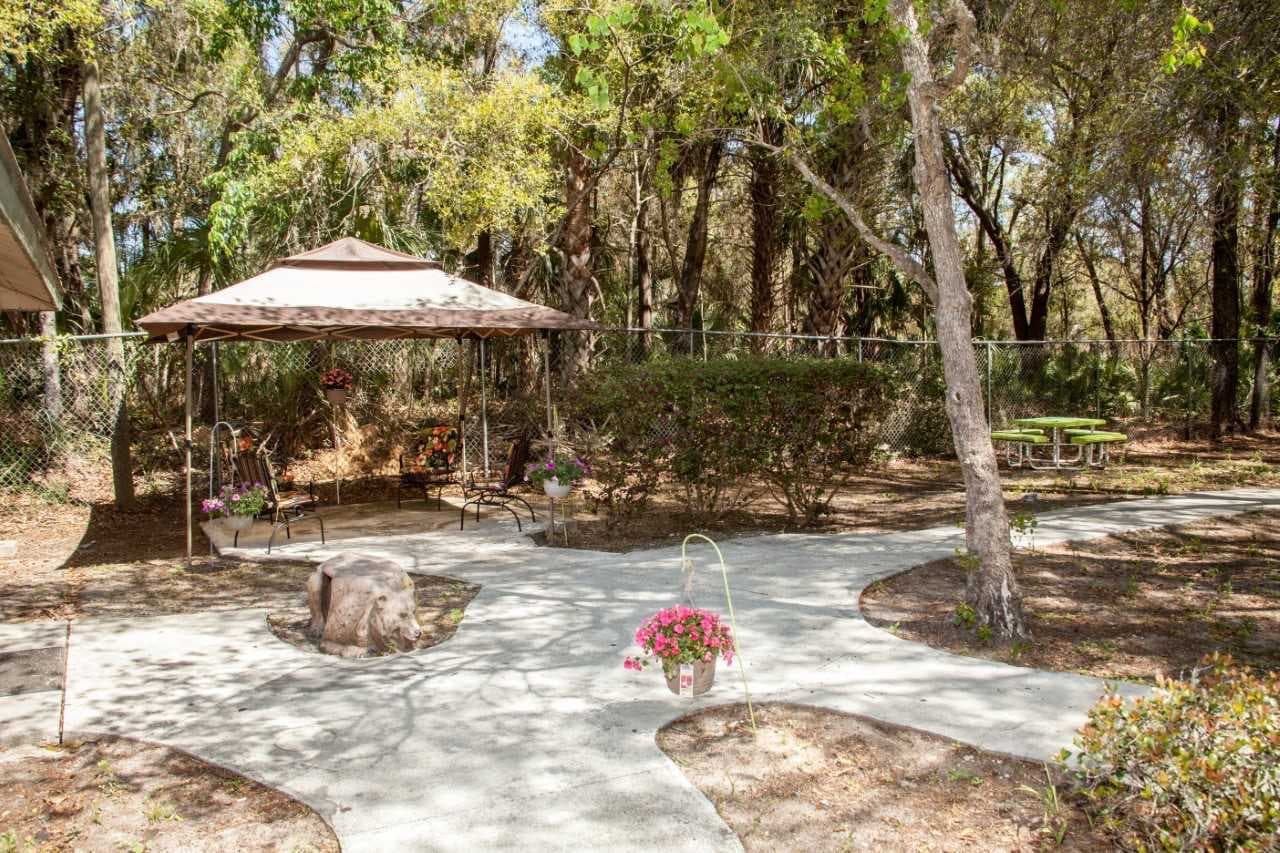 A shaded courtyard with a gazebo and walking paths